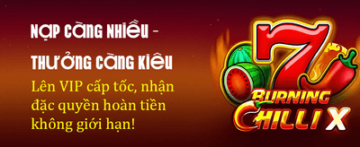 Ưu Đãi Đặc Biệt Mỗi Ngày